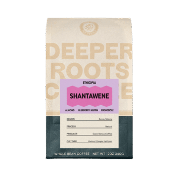 Deeper Roots Coffee - Ethiopia Shantawene